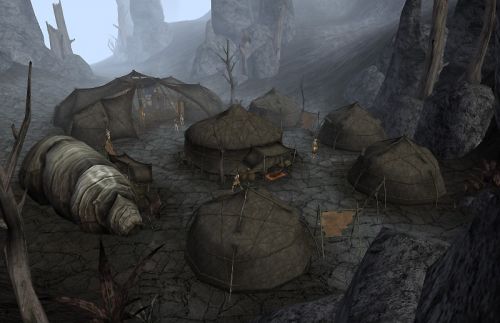 erabenimsun_camp