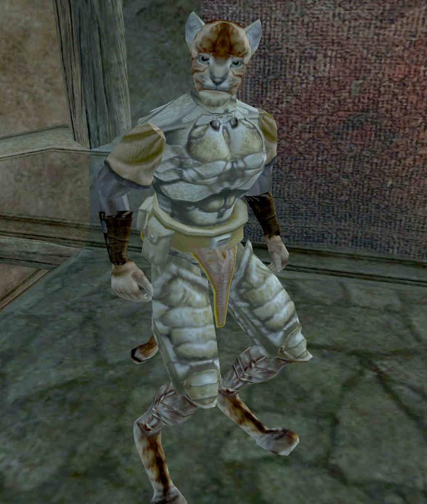 habasi_thief