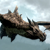 dragonmini