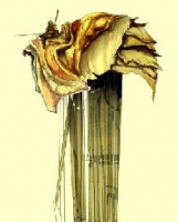 silt_strider-200