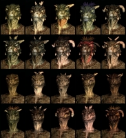 skyrim_argonians-200