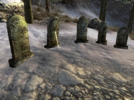 quest_next_of_kin-268