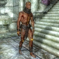 si_flesh_atronach-200