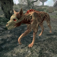 si_skinned_hound-200