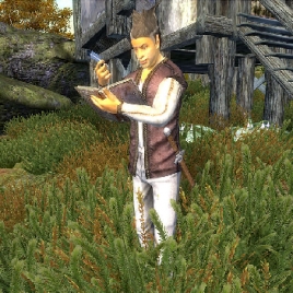 npc_halion-268