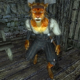 npc_ranarr_jo-268