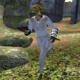 npc_runs-268