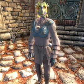 npc_sheer_meedish-268