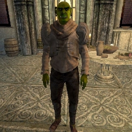 npc_ushnar-268