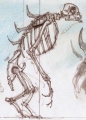 si_concept_amphibh03-120