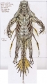si_concept_baliorthfront01-120