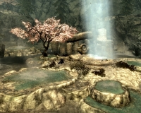 ancestor_glade-200