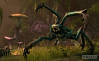 esonline_4-200