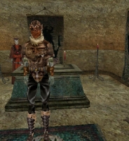 motongquest-200