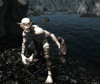 falmer_river-200