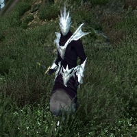 npc_order_priest-200