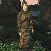 npc_zealot-200
