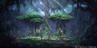 teso_29-200