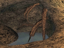 bm_quest_razing_the_forest-268