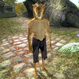 npc_jzidzo_dementia-268
