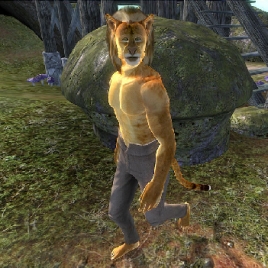 npc_jzidzo_mania-268