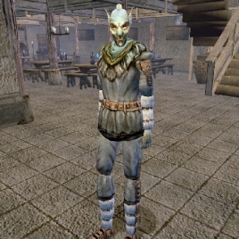 npc_seler_favelnim-268