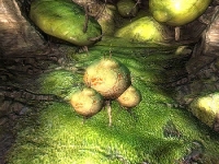 trap_spore_pod-200