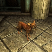 creature_kit-200