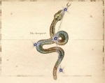starsserpent-150