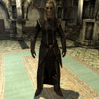 elenwen_npc-200