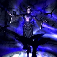 sr_nocturnal-200