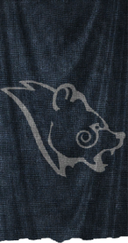 stormcloakbanner-350