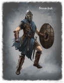 concept_stormcloak_male-166