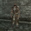 light_scaled_skyrim-105