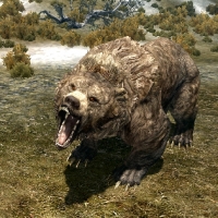 sr_cave_bear-200