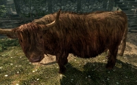sr_cow-200