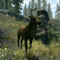 sr_deer-200