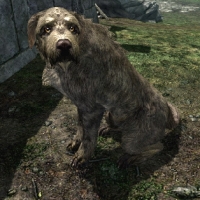 sr_dog-200