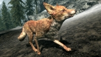 sr_fox-200