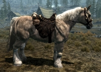sr_horse-200