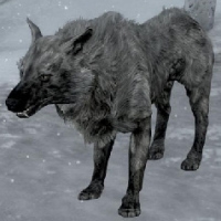 sr_ice_wolf-200