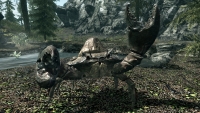 sr_mudcrab-200