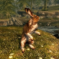 sr_rabbit-200