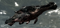 sr_slaughterfish-200