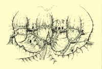aldruhn_inner-200