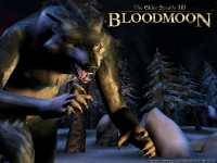 werewolf_wp-200