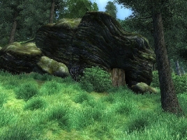 ob_quest_the_fugitives-268